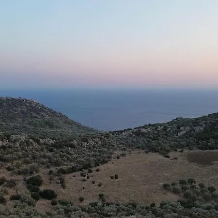 Mavi Ada